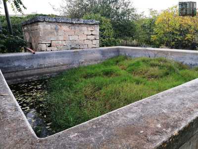 ...sino a raggiungere uno spiazzo dove ci imbattiamo in una vasca in pietra di raccolta dell�acqua